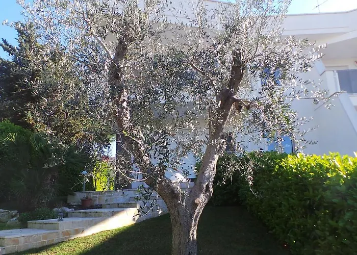 Casa Riccardo Urban B&Bio Castellana Grotte